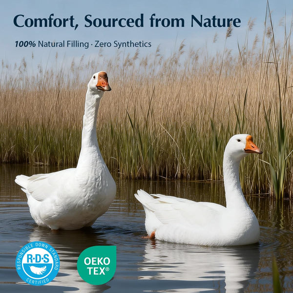 Goose Down Fiber Comforter – 420TC Cotton Shell, All-Season