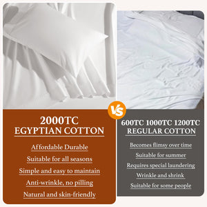 Queen Cotton Bed Sheet Set – White