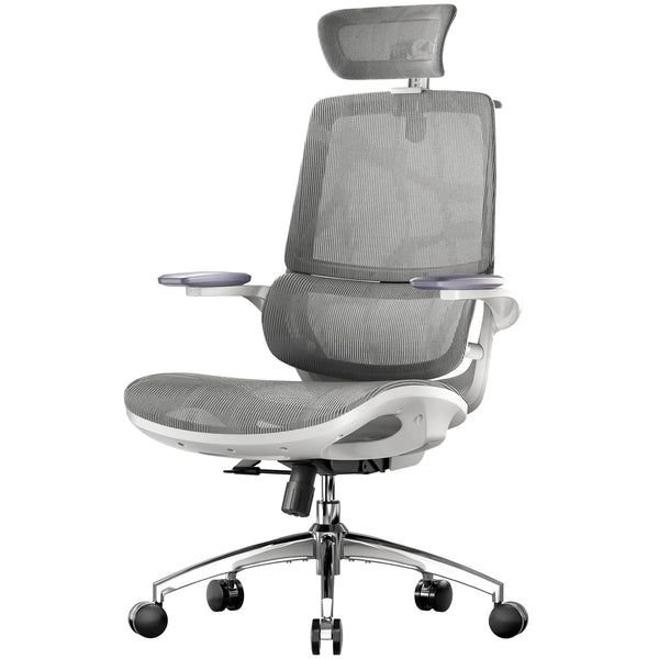 Ergonomic Mesh Office Chair with 3D Flip-Up Armrests & Dual Back Support