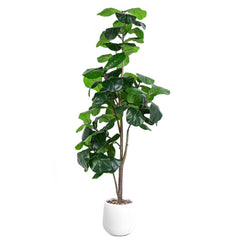 Artificial Fiddle Leaf Fig Tree with White Planter