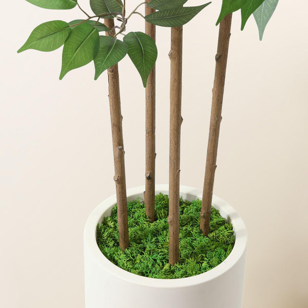 Artificial Ficus Tree with Ceramic Planter
