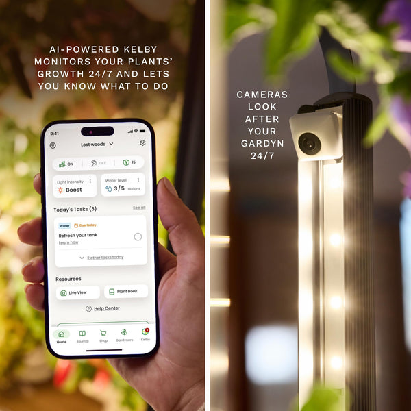Indoor Hydroponic Growing System with LED Grow Lights