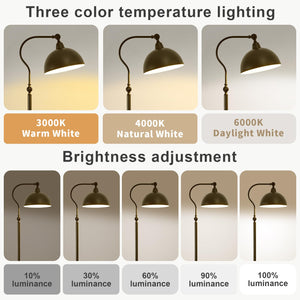 Adjustable LED Reading Floor Lamp with Remote and Bluetooth Dimming