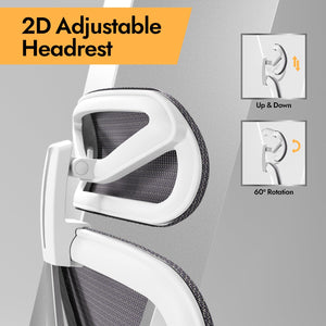 Ergonomic Mesh Office Chair with 3D Lumbar Support & Adjustable Armrests