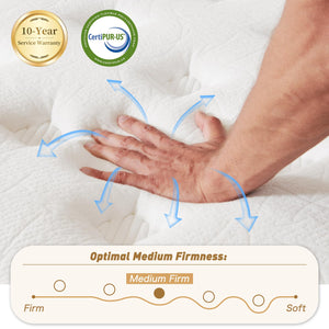 14-Inch Queen Hybrid Mattress