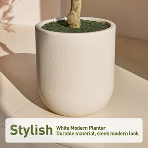 Tall Artificial Black Olive Tree with White Planter