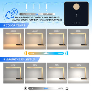 LED Desk Lamp with Charging Station & Type-C Port