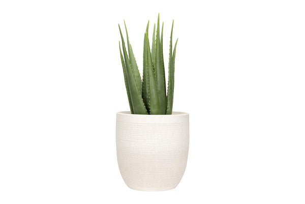 Large Embossed Stoneware Planter with PVC Liner