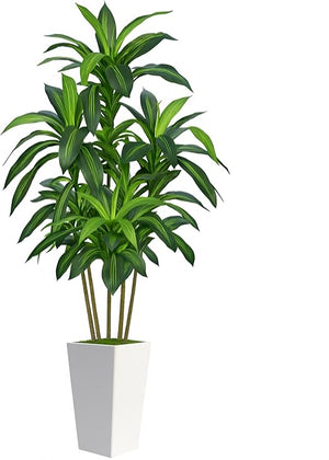 Artificial Dracaena Tree with Planter – 6ft & 7ft