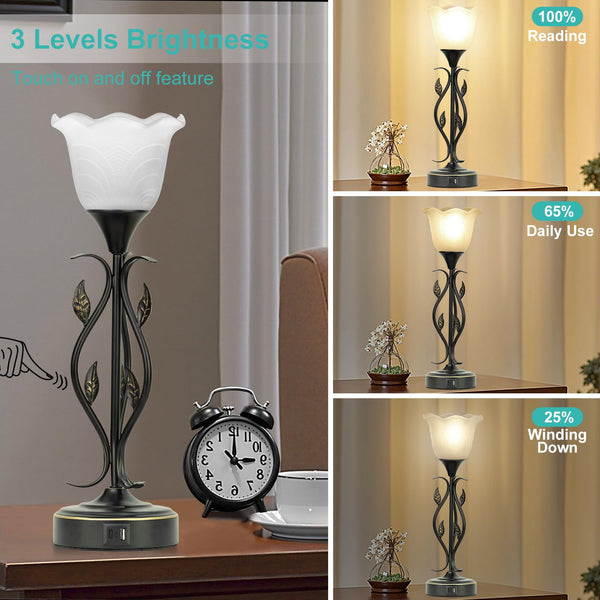 Dimmable Touch Table Lamps Set of 2 with USB Port & Glass Flower Shade