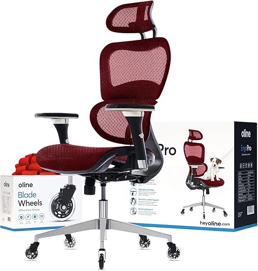 Ergonomic Mesh Office Chair with 4D Armrests, 3D Lumbar Support & Blade Wheels