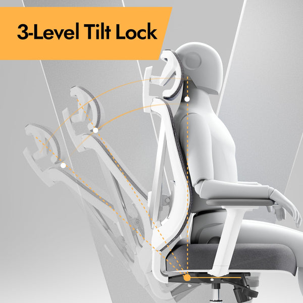 Ergonomic Mesh Office Chair with 3D Lumbar Support & Adjustable Armrests