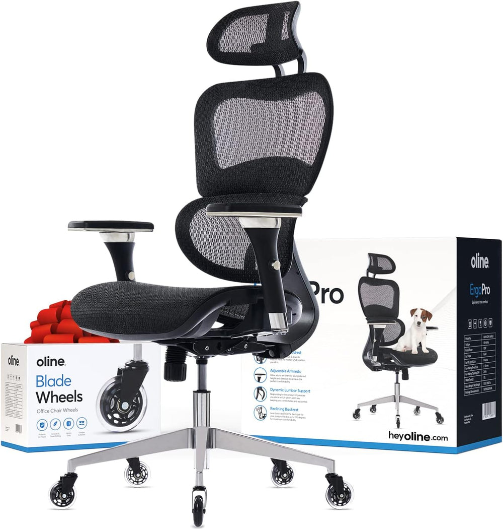 Ergonomic Mesh Office Chair with 4D Armrests, 3D Lumbar Support & Blade Wheels