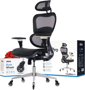 Ergonomic Mesh Office Chair with 4D Armrests, 3D Lumbar Support & Blade Wheels