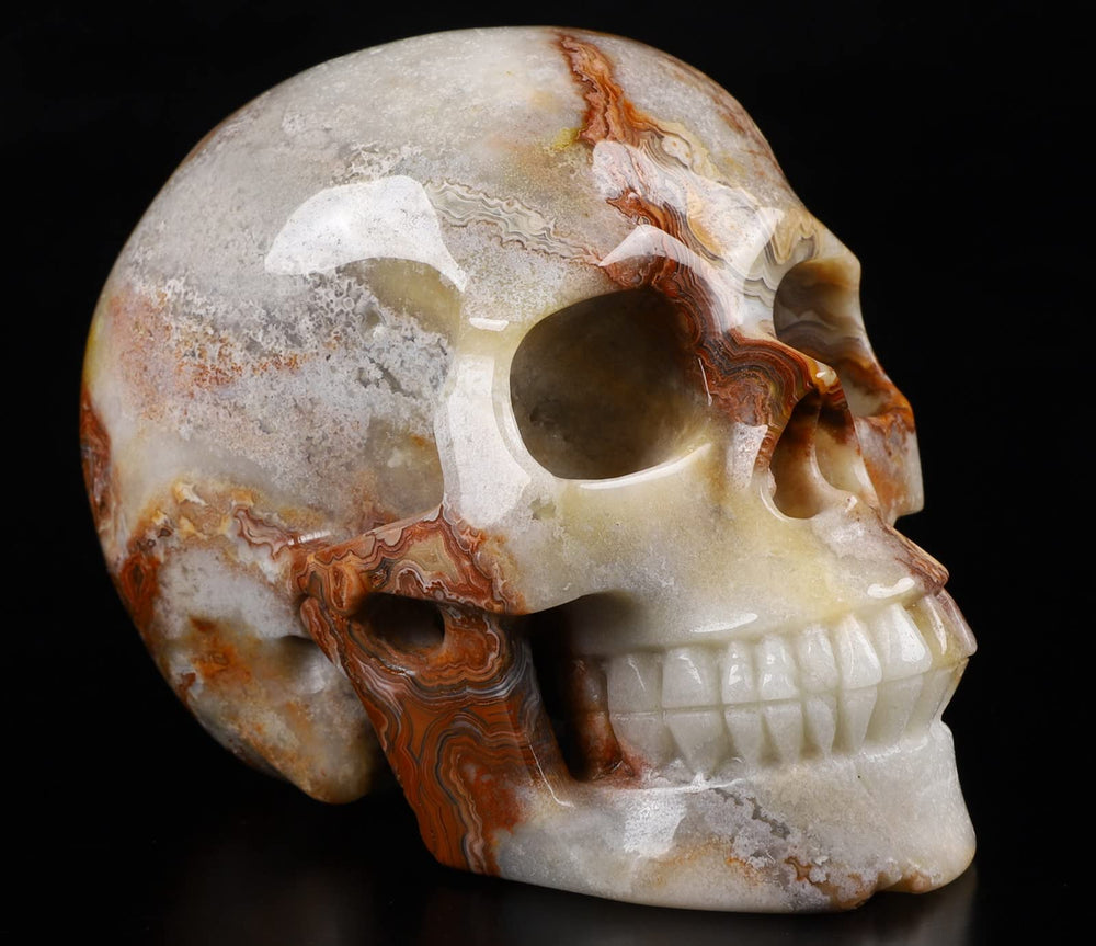 Red Crazy Lace Agate Crystal Skull Sculpture