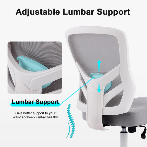 Ergonomic Mesh Office Chair with Lumbar Support & Adjustable Armrests