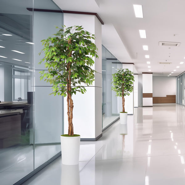 7 ft Artificial Ficus Tree with Planter