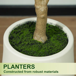 Artificial Olive Tree with White Planter