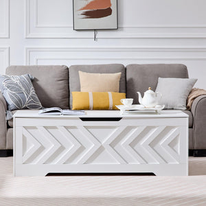 55-Inch Storage Bench with Safety Hinges
