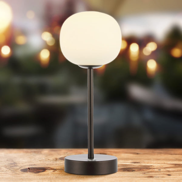 Rechargeable Cordless LED Table Lamp with Frosted Glass Globe