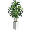 Artificial Dracaena Tree with Planter – 6ft & 7ft