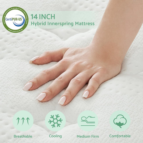 12-Inch Hybrid Queen Mattress