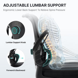 Ergonomic Mesh Office Chair with 3D Headrest & Lumbar Support