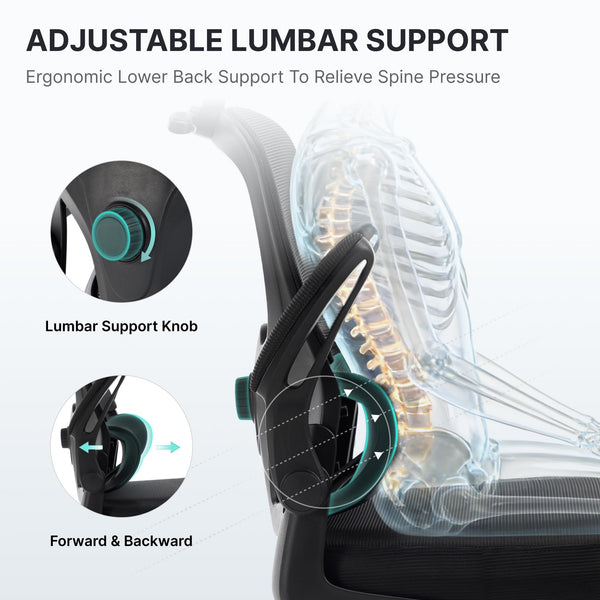 Ergonomic Mesh Office Chair with 3D Headrest & Lumbar Support
