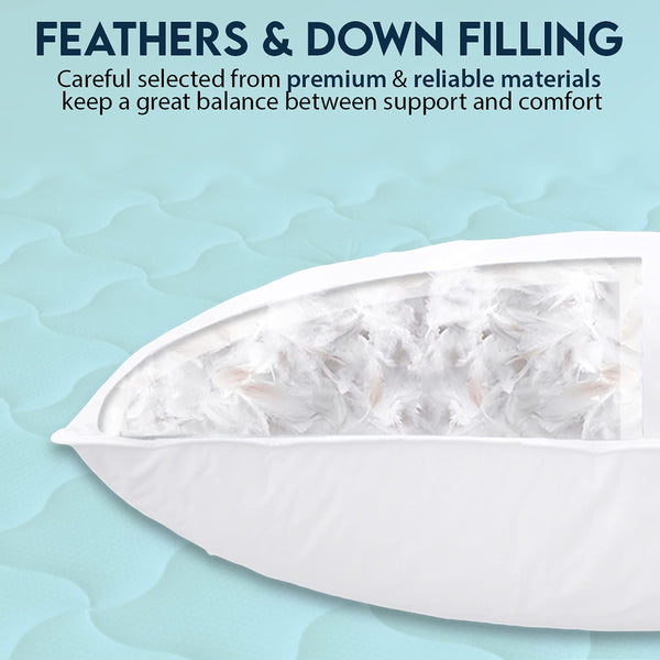 Velvet Throw Pillow with Down Feather Insert