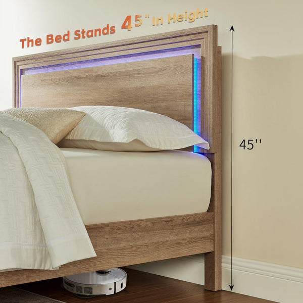 Queen Wood Bed Frame with Headboard, Footboard & RGB LED Light