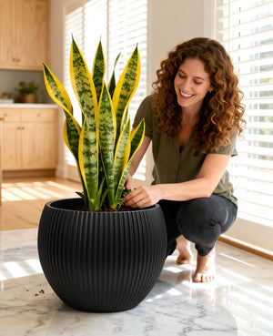 Large Plant Pots with Drainage – Indoor & Outdoor