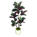 Artificial Rubber Tree with White Pot, 54.5" Tall