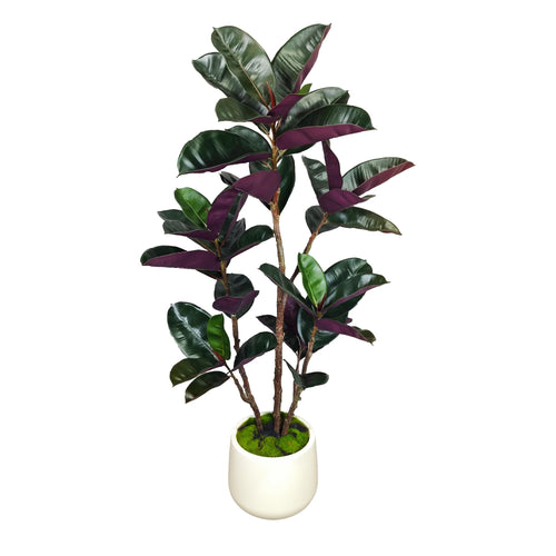 Artificial Rubber Tree with White Pot, 54.5" Tall