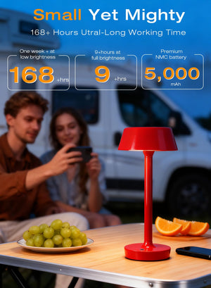 Cordless Rechargeable LED Table Lamp with Touch Dimming
