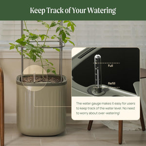 Self-Watering Raised Garden Planter with Trellis & Wheels