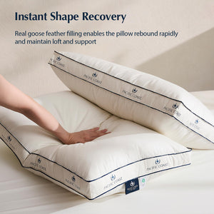 Goose Feather Down Bed Pillow with Organic Cotton Cover