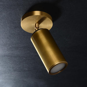 Adjustable Brass Ceiling Spotlight – Dimmable Directional Wall Light Fixture