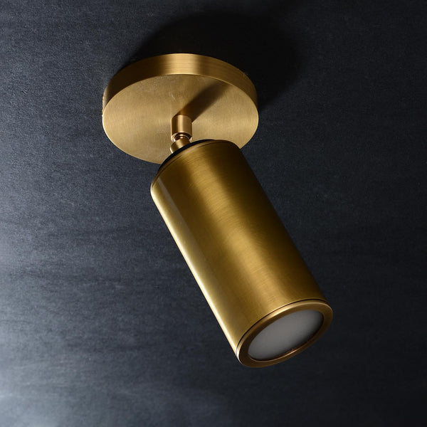 Adjustable Brass Ceiling Spotlight – Dimmable Directional Wall Light Fixture