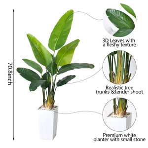 Bird of Paradise Artificial Plant 6FT with White Planter