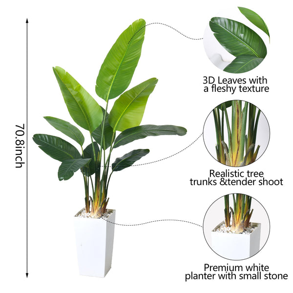 Bird of Paradise Artificial Plant 6FT with White Planter