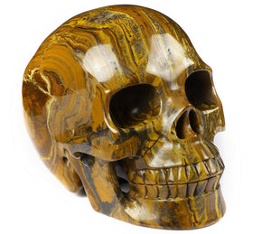 Tiger Iron Eye Crystal Skull Sculpture – 5 Inch Hand Carved Gemstone