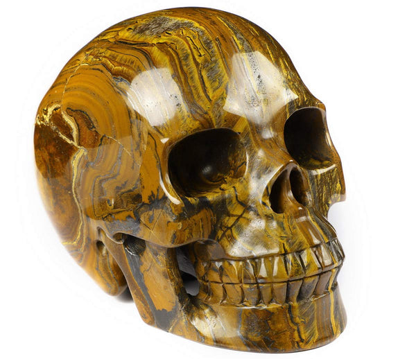 Tiger Iron Eye Crystal Skull Sculpture – 5 Inch Hand Carved Gemstone