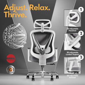 Ergonomic Mesh Office Chair with 3D Lumbar Support & Adjustable Armrests
