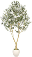 Artificial Olive Tree – Indoor Faux Plant