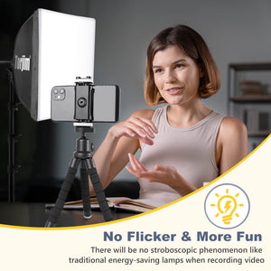 Softbox Photography Lighting Kit with LED Bulbs & Tripod Stands