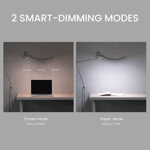 e-Reading Floor Lamp – Dimmable, 13 Color Modes, Adjustable Arm, Matte Silver
