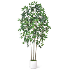 6 ft Artificial Ficus Tree with White Planter