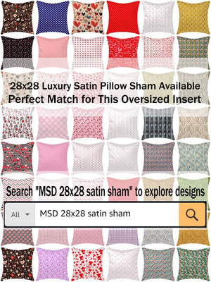 28x28 Hypoallergenic Throw Pillow Inserts – Set of 2