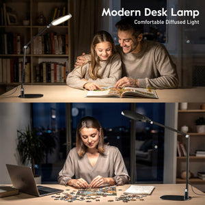 LED Desk Lamp with Swing Arm & Webcam Light