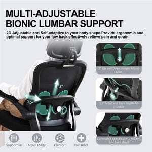 Ergonomic Mesh Office Chair with Lumbar Support & Headrest